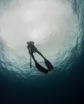 Каталог изображений фотопечать «Подводный мир»